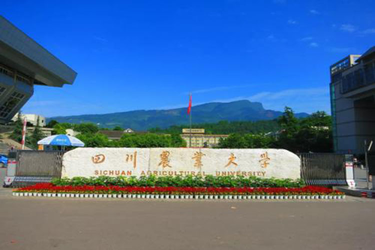 四川農業(yè)大學專科學歷怎么升本科比較好