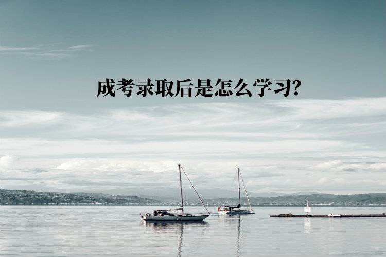 成考錄取后是怎么學(xué)習(xí)？