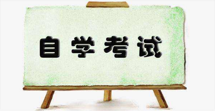 自考如何高效背書？有什么經(jīng)驗(yàn)技巧嗎？