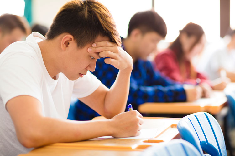 東北大學能專升本嗎？