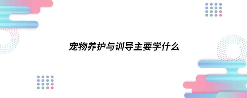 寵物養(yǎng)護與訓導主要學什么