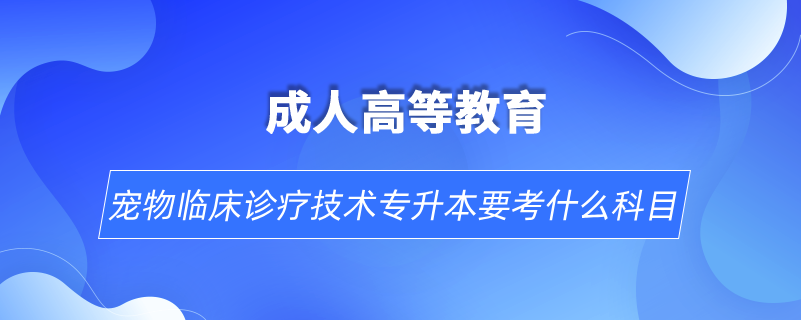 寵物臨床診療技術專升本要考什么科目