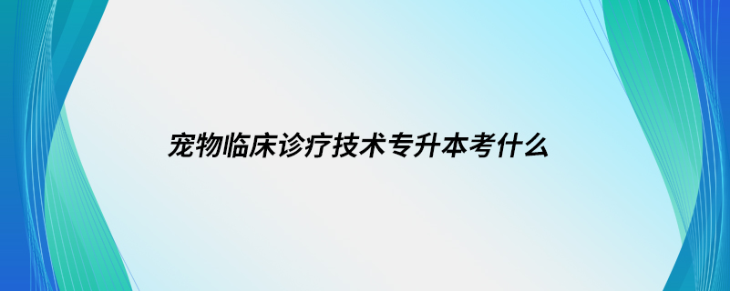 寵物臨床診療技術(shù)專升本考什么