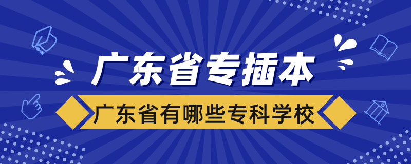 廣東省有哪些?？茖W(xué)校可以專插本