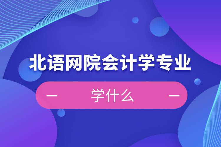 北語網(wǎng)院會計學專業(yè)學什么