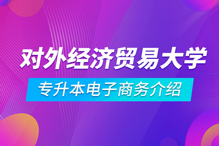 對(duì)外經(jīng)濟(jì)貿(mào)易大學(xué)專升本電子商務(wù)介紹