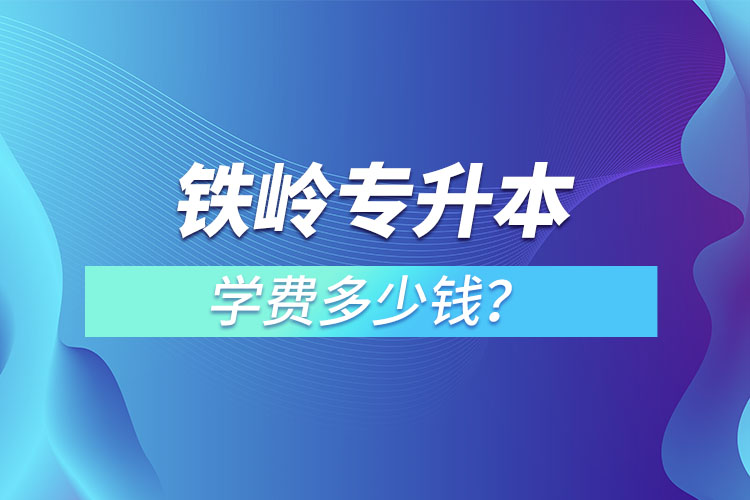 鐵嶺專升本學費大概多少錢一年？