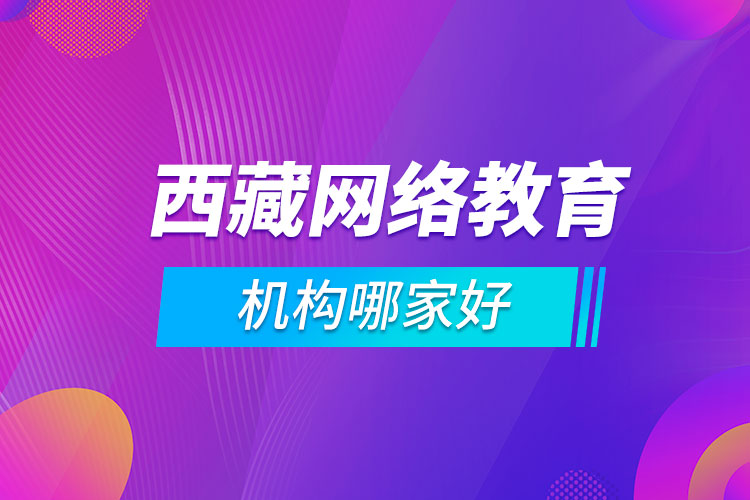 西藏網(wǎng)絡教育機構哪家好