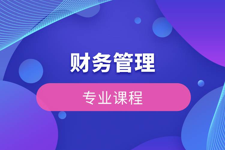 財務(wù)管理專業(yè)課程