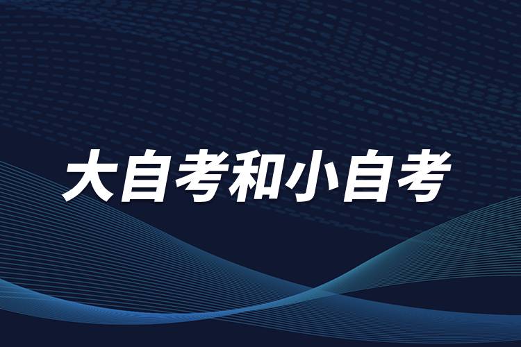 大自考和小自考是什么意思？有什么區(qū)別？
