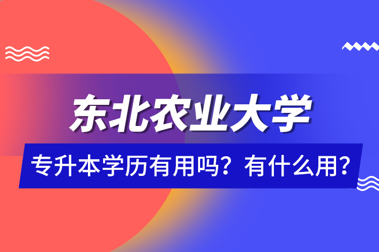 東北農(nóng)業(yè)大學(xué)專升本學(xué)歷有用嗎？有什么用？