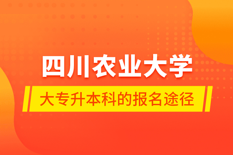 四川農(nóng)業(yè)大學(xué)大專升本科的報名途徑