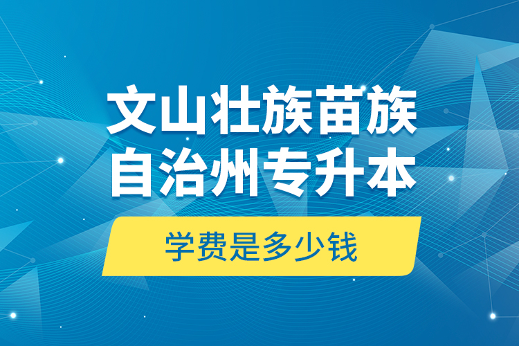 文山壯族苗族自治州專升本學(xué)費(fèi)是多少錢？