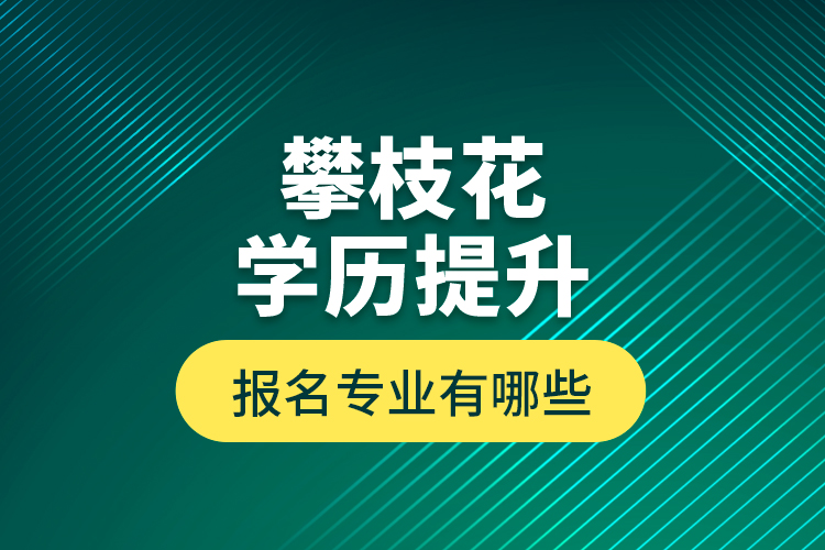 攀枝花學(xué)歷提升報名專業(yè)有哪些？