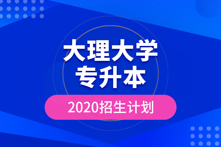 大理大學(xué)專(zhuān)升本2020招生計(jì)劃