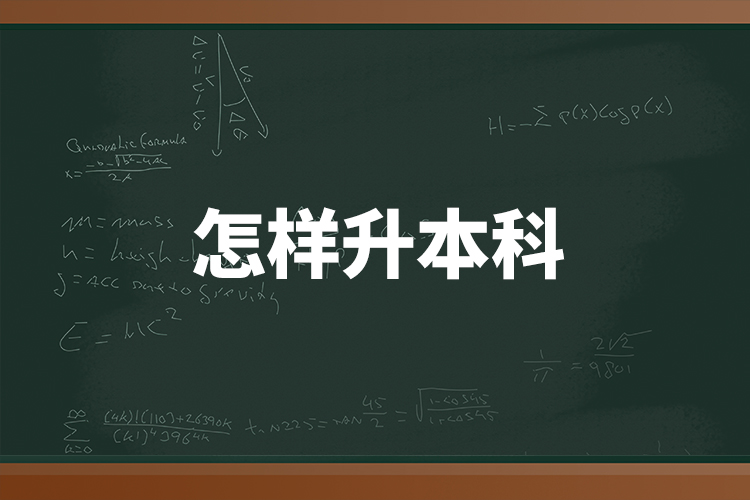 怎樣升本科？